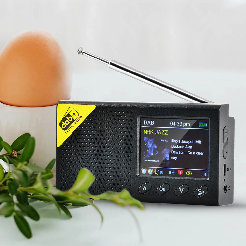 Portable Digital Radio With Bluetooth 5.0 DAB FM Receiver