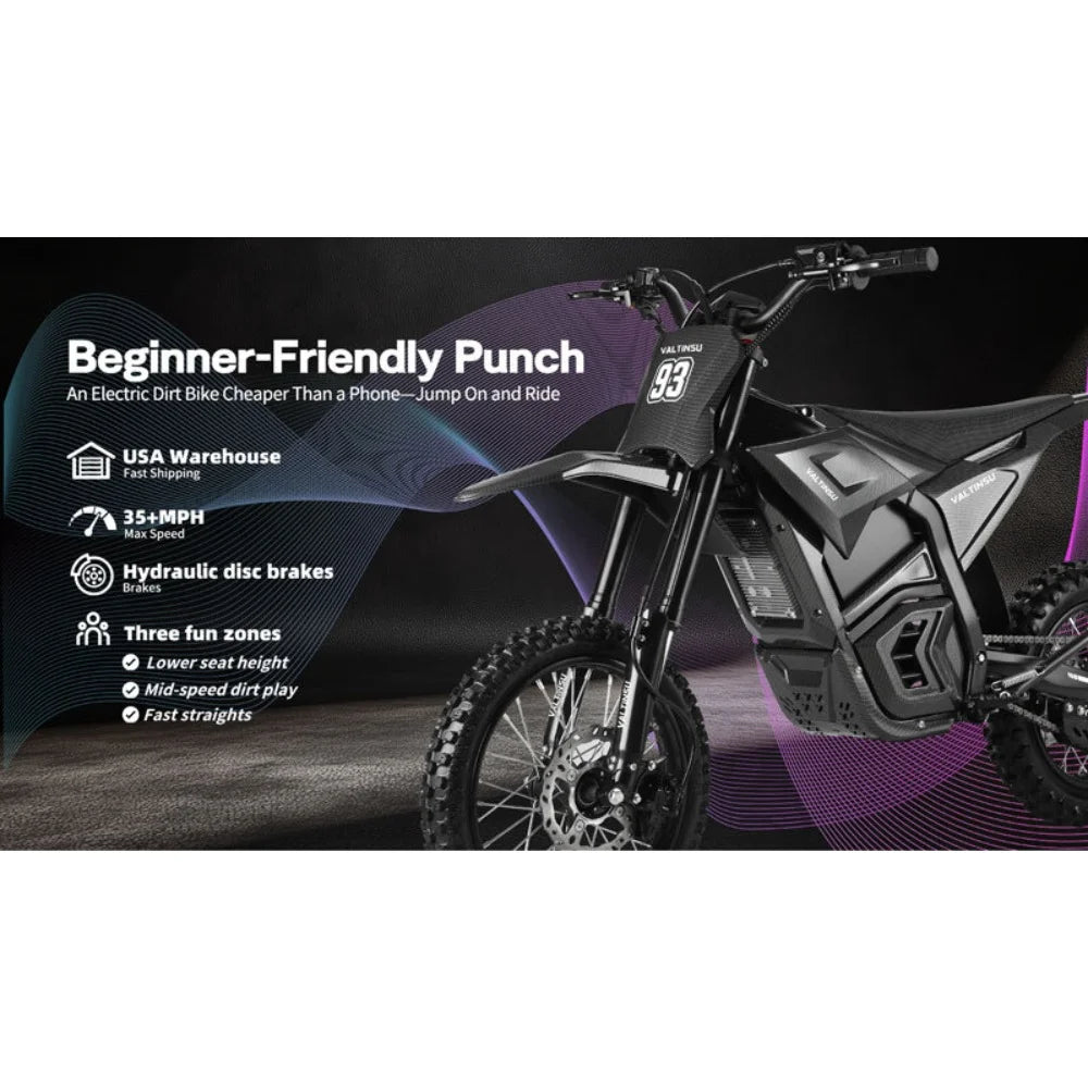 EM-5 Electric Bike 2500W Peak Power